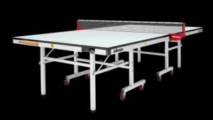 Ping Pong Table