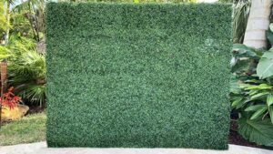 hedge wall photo backdrop