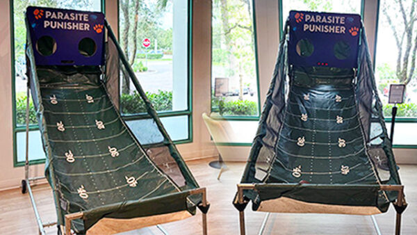 Custom branded football pop a shot