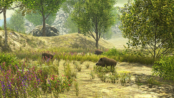 Multi Sport Simulator Rental Shooting 6