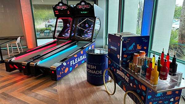 custom wrapped games